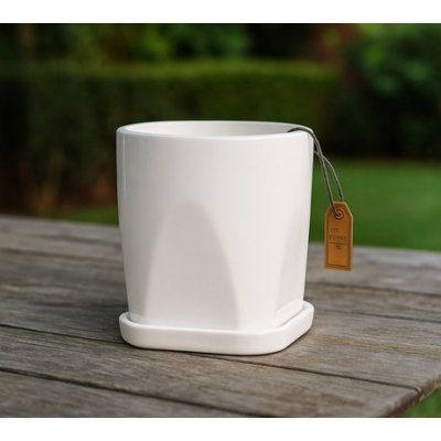 13X14CM MACETERO PORC C/BASE BLANCO